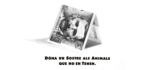 Nou refugi d’animals abandonats